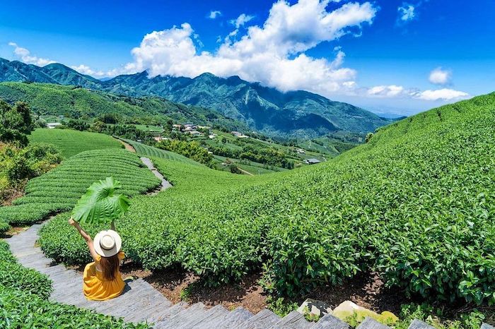 嘉義婚紗景點