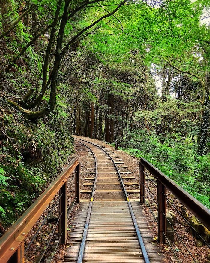 特富野古道