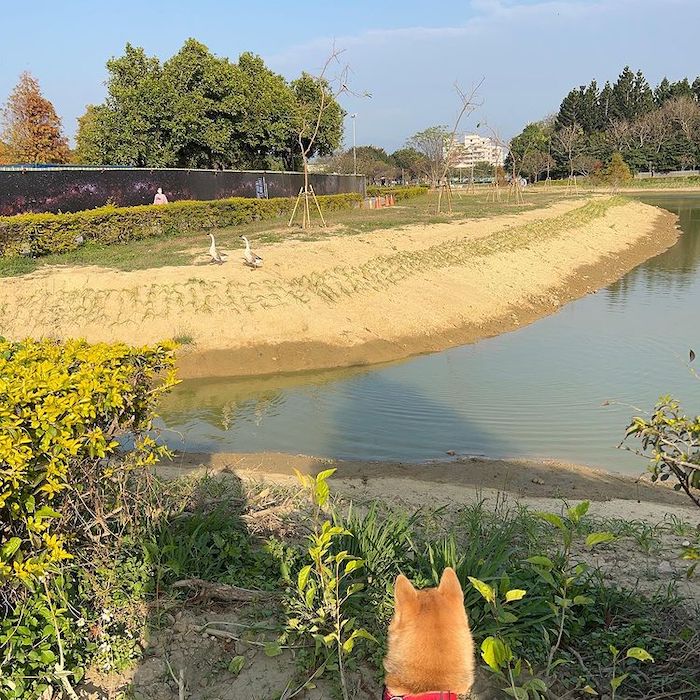 香湖公園