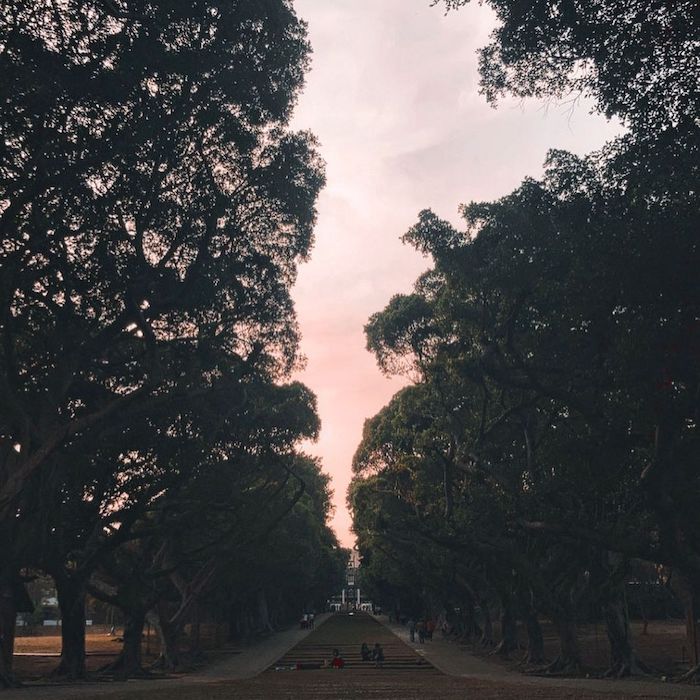 東海大學