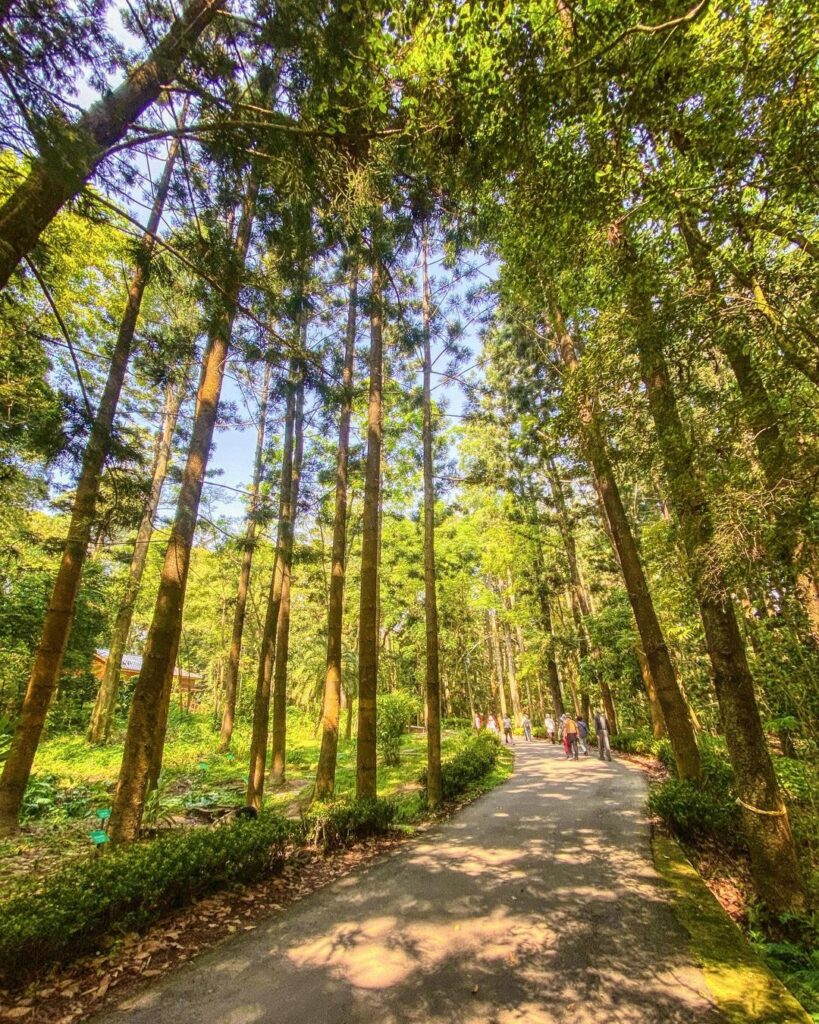 嘉義植物園