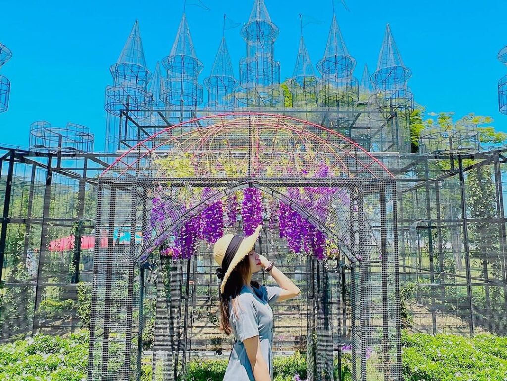 旺萊山愛情大草原
