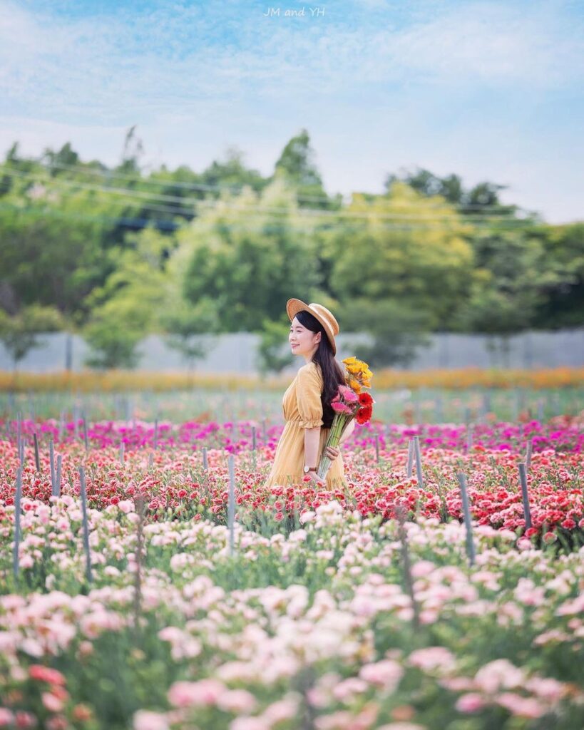 董家花田