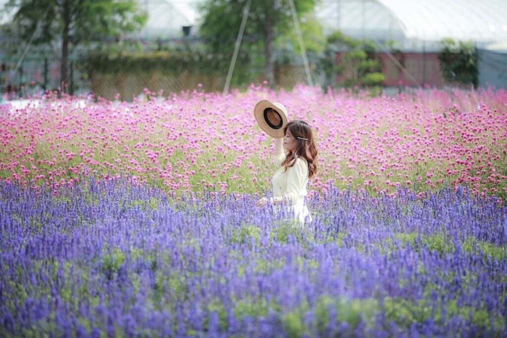 董家花田