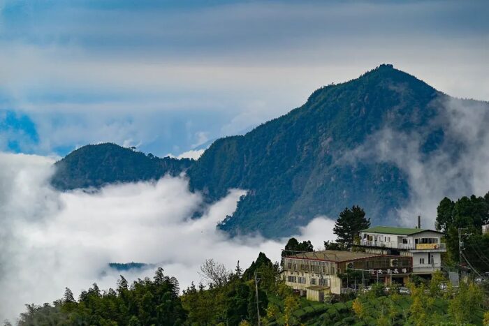 中部雲海