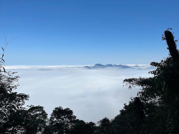 梅嶺