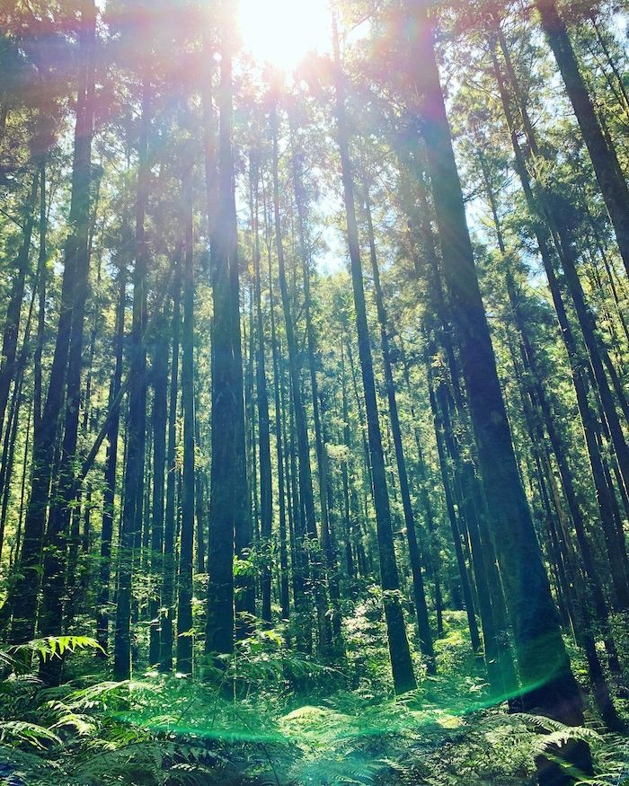 明池國家森林遊樂區