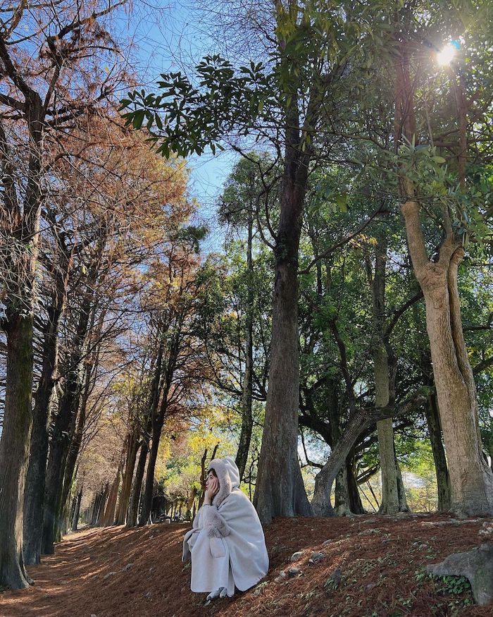 羅東運動公園