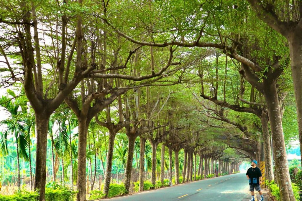 泗林健走步道