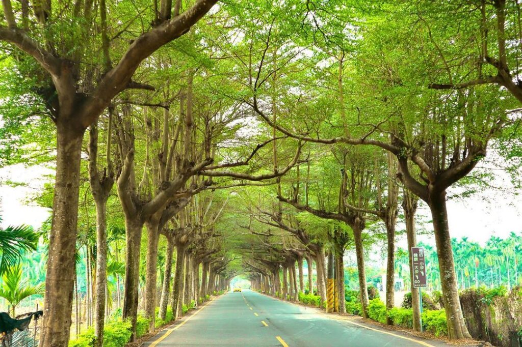 泗林健走步道