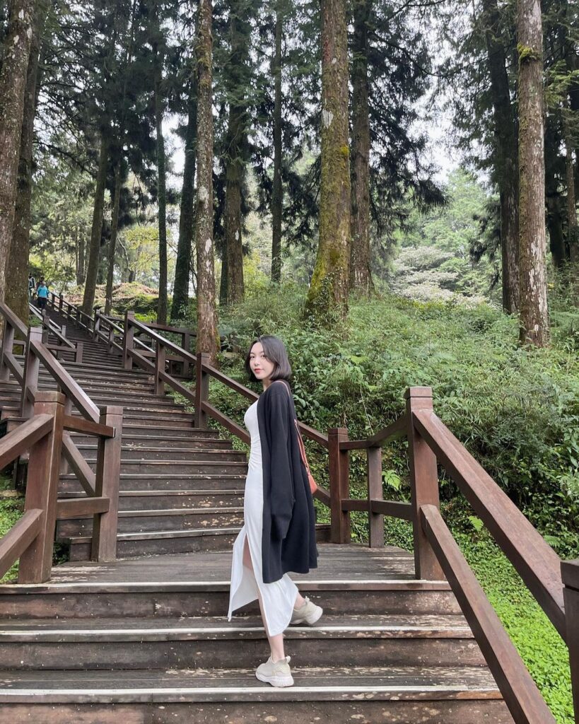 阿里山國家森林