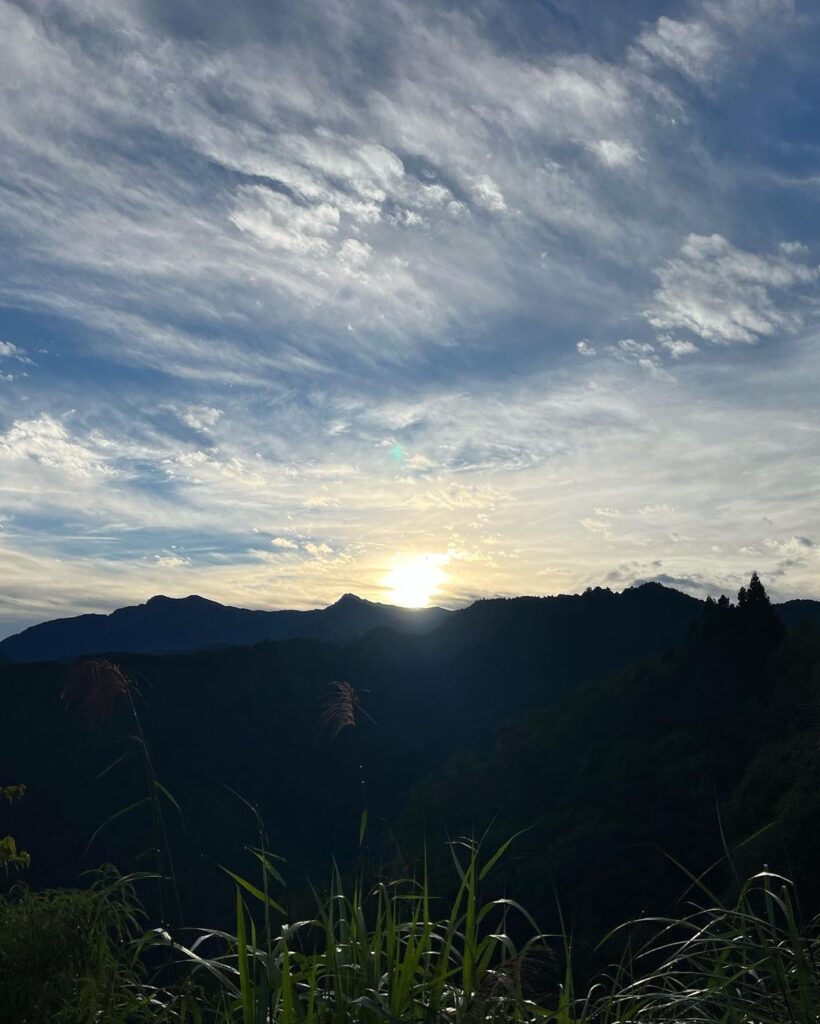 阿里山國家森林