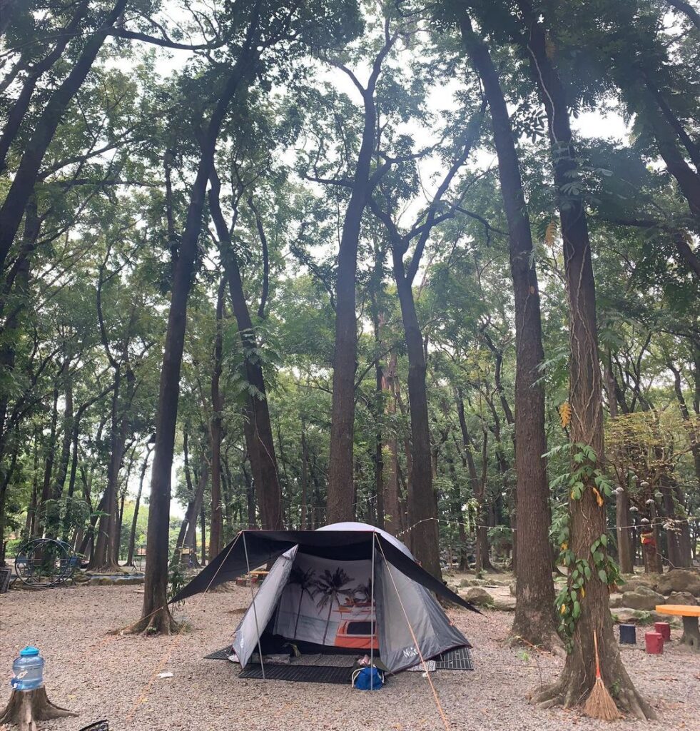 8大森林樂園