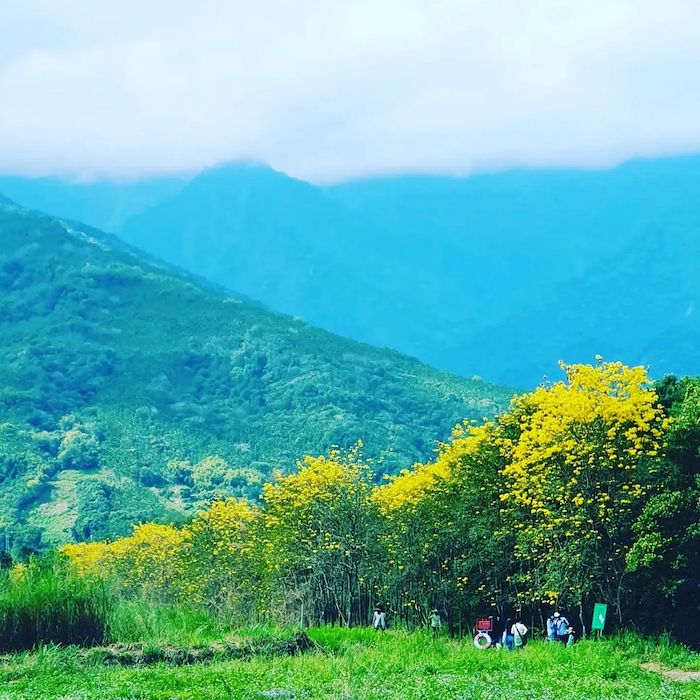 大農大富平地森林園區