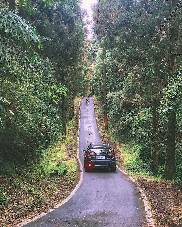 坪溪古道