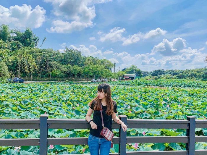 蓮花公園