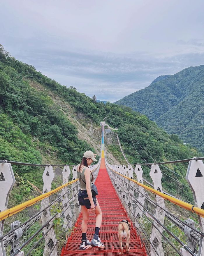 雙龍七彩吊橋