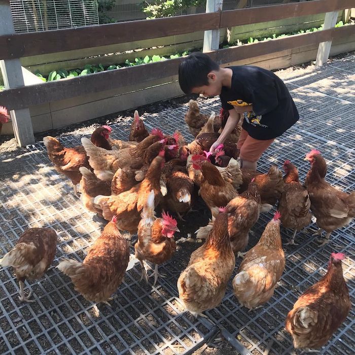 桂園自然生態農場