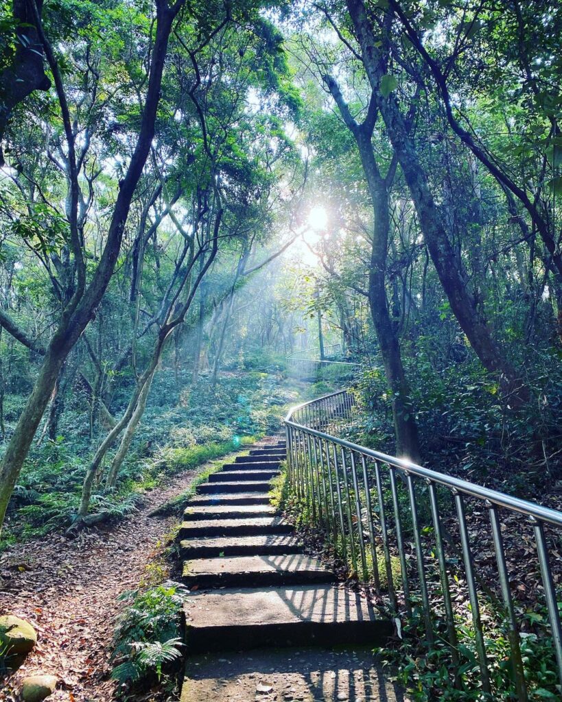田中森林公園