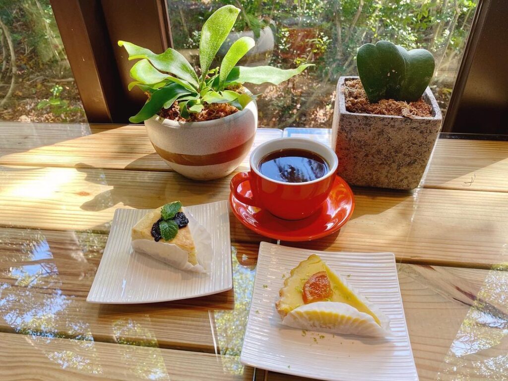 藍灣咖啡Blue Bay Cafe (福隆店)