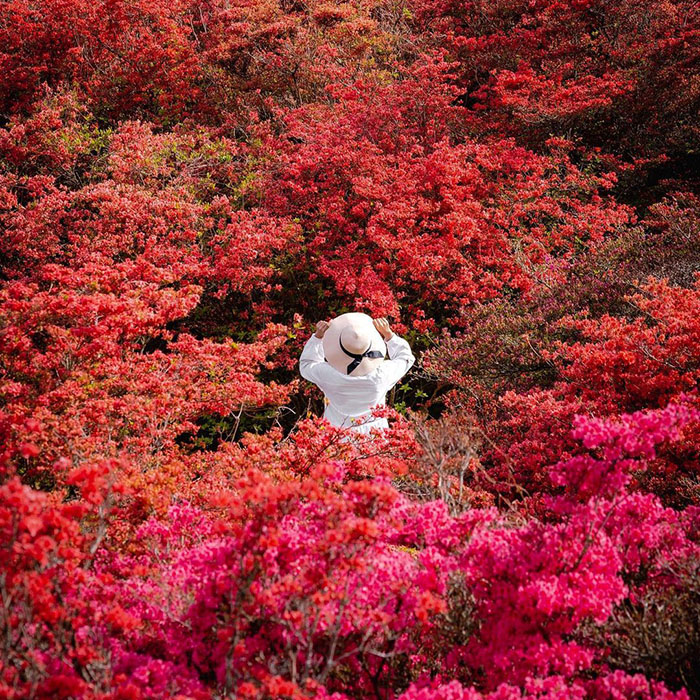 大和葛城山