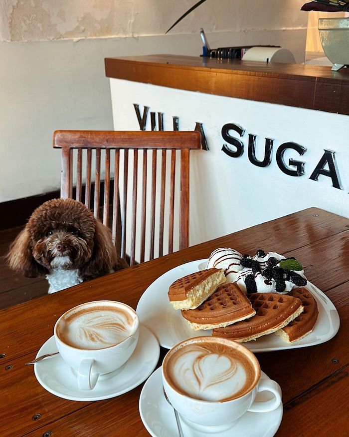 VILLA SUGAR
