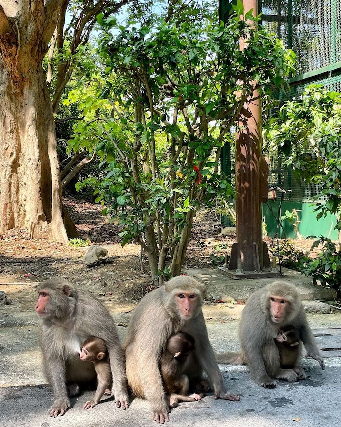 壽山動物園