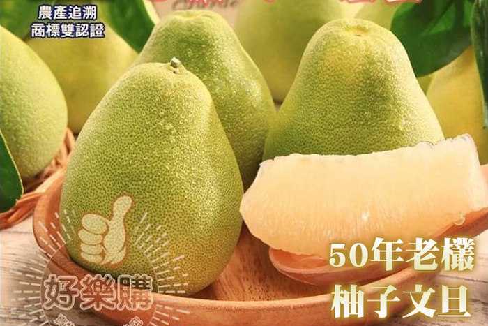 【麻豆柚王】50年老欉柚子文旦