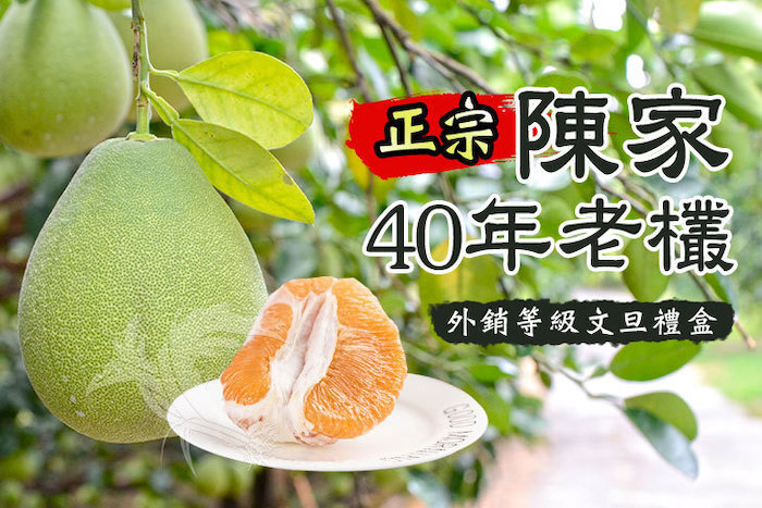 【禾鴻】花蓮鶴岡陳家40年老欉文旦10斤