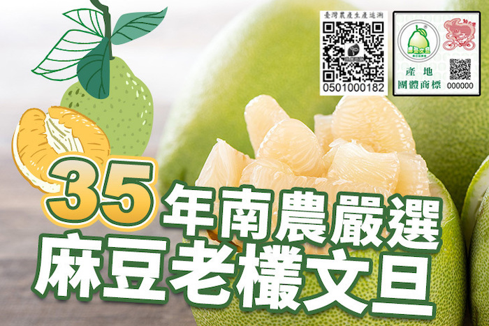 【麻豆張】35年老欉文旦
