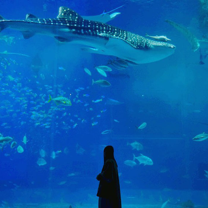 沖繩美麗海水族館