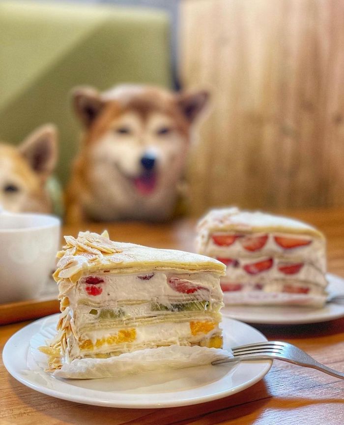 食聚咖啡 GATHER Cafe