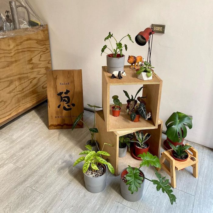 蔥蔥沙拉 (模範店)