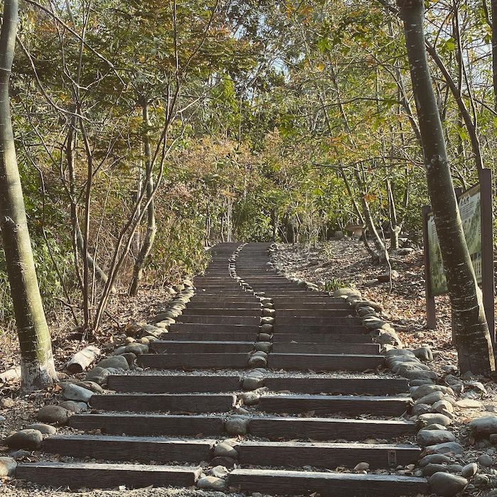 九九峰森林步道