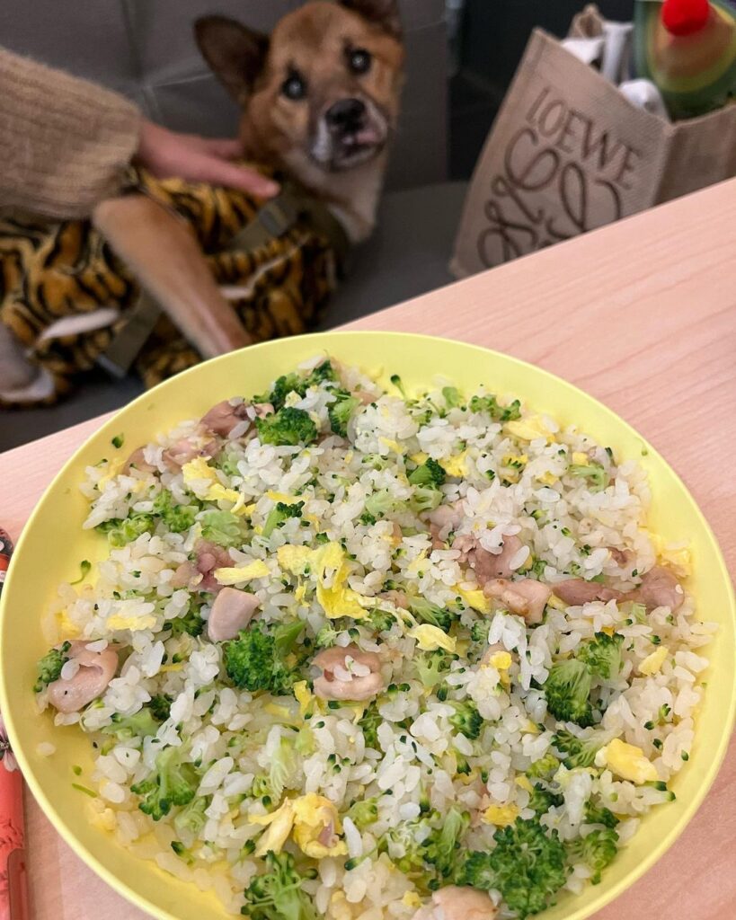 MIKA美嘉廚房寵物友善餐廳