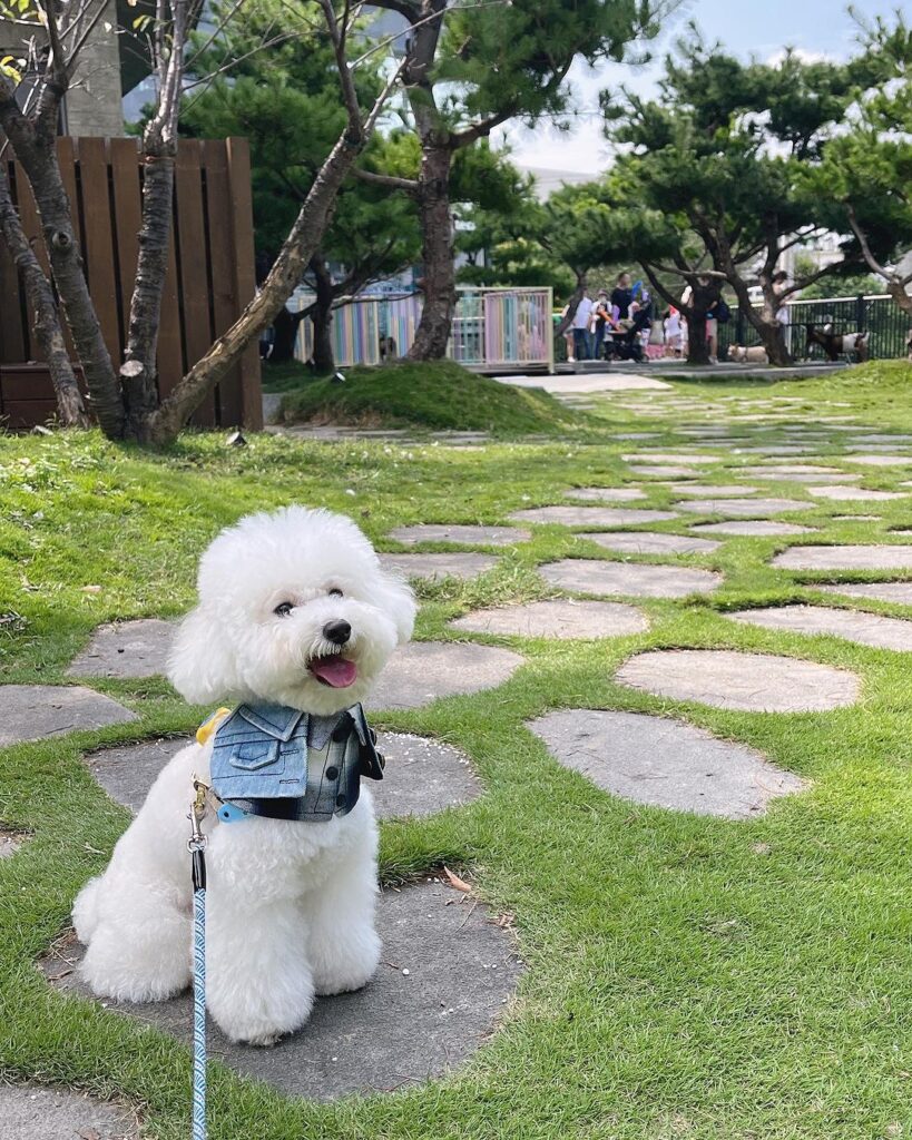 卡菲努努親子寵物餐廳