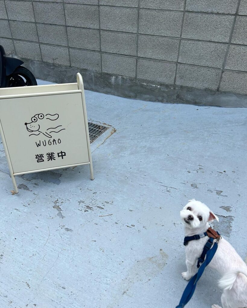 WUGAO遊狗