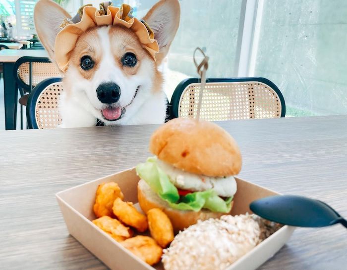 PAT’s KITCHEN