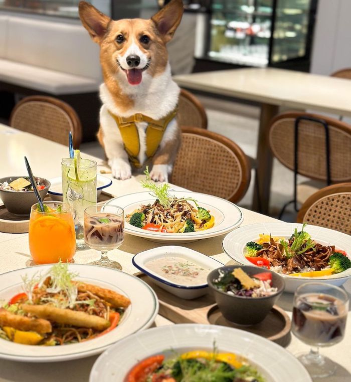 多野樂旅館 Dogether Hotel