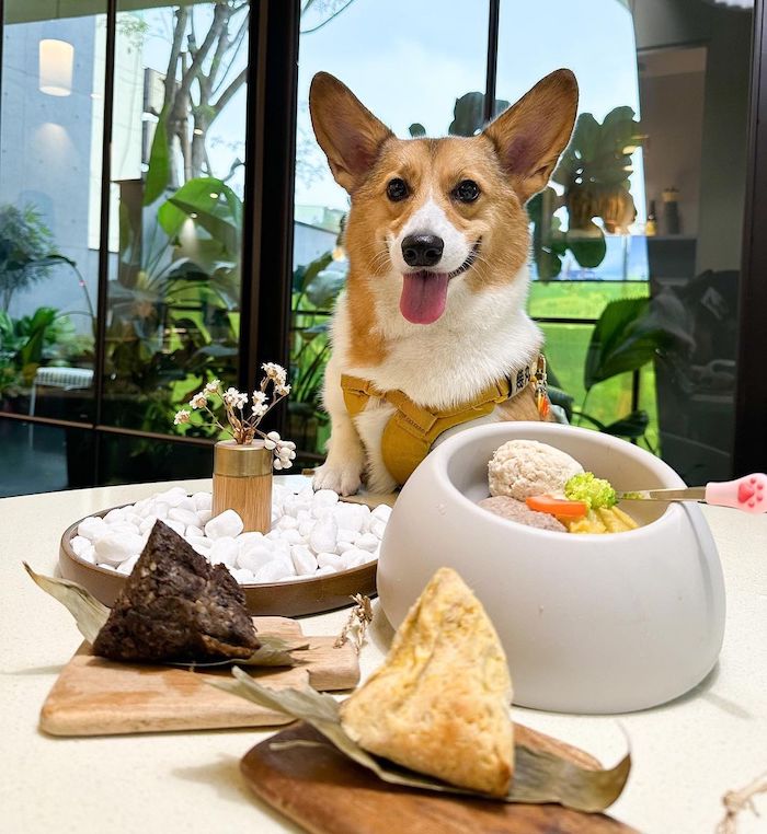 多野樂旅館 Dogether Hotel