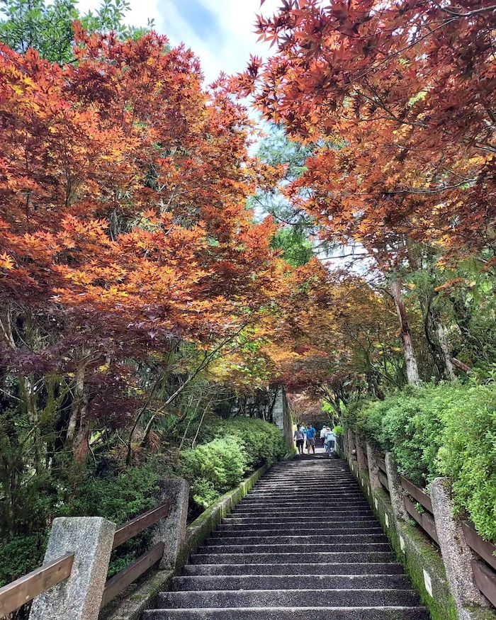 太平山森林遊樂區