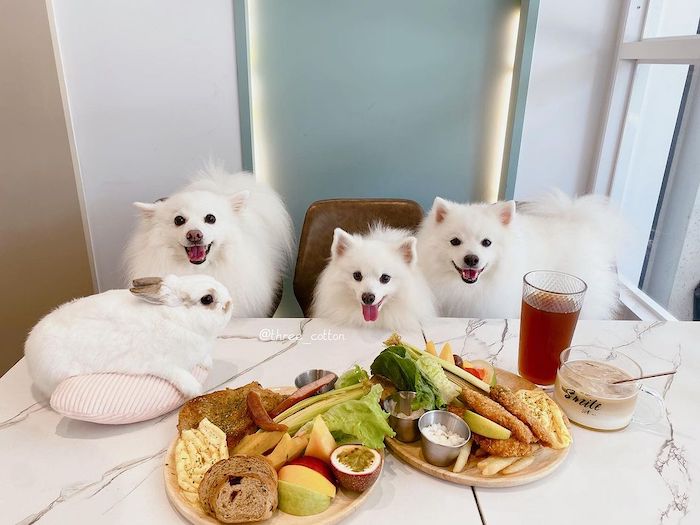 田野咖啡複合式餐飲