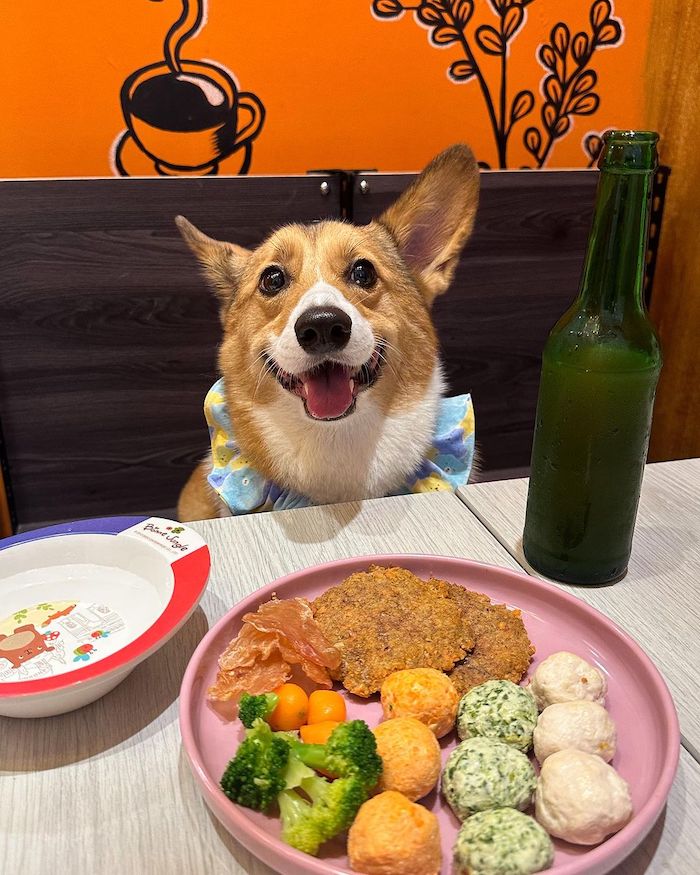 Deli Puppy 寵物友善餐廳
