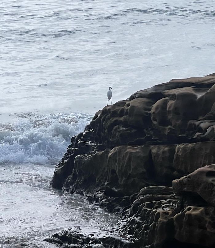 龜吼漁夫市集
