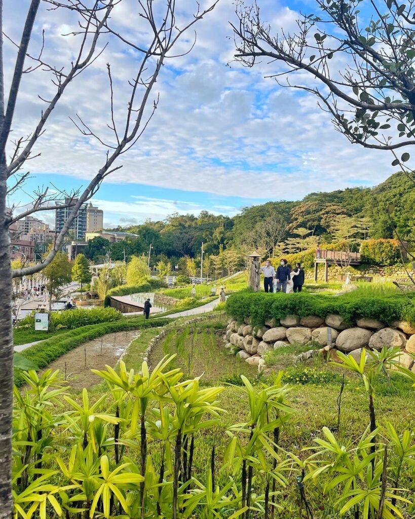 大有梯田生態公園