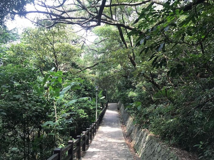 碧湖步道