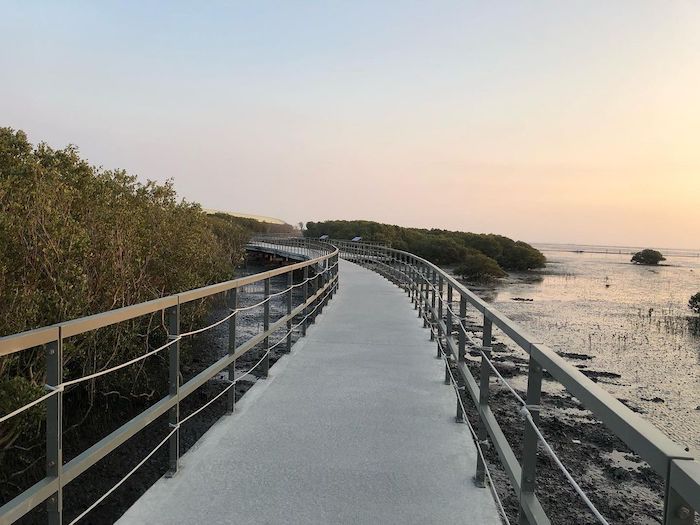 芳苑濕地紅樹林海空步道