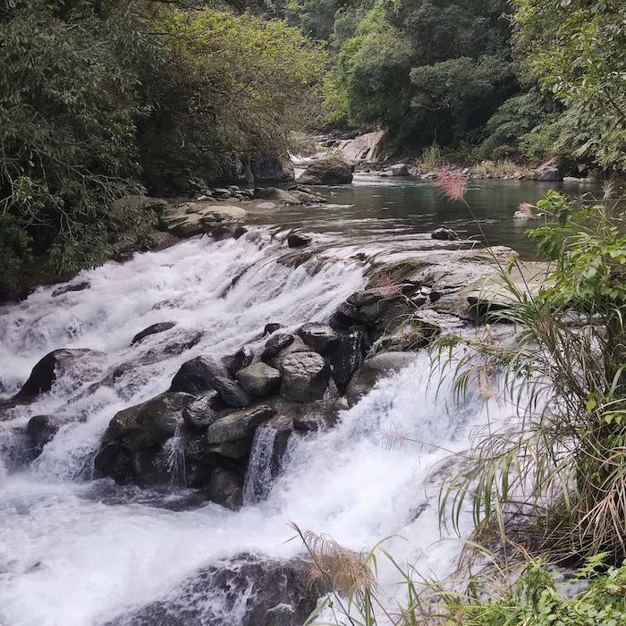 烏來蝴蝶公園