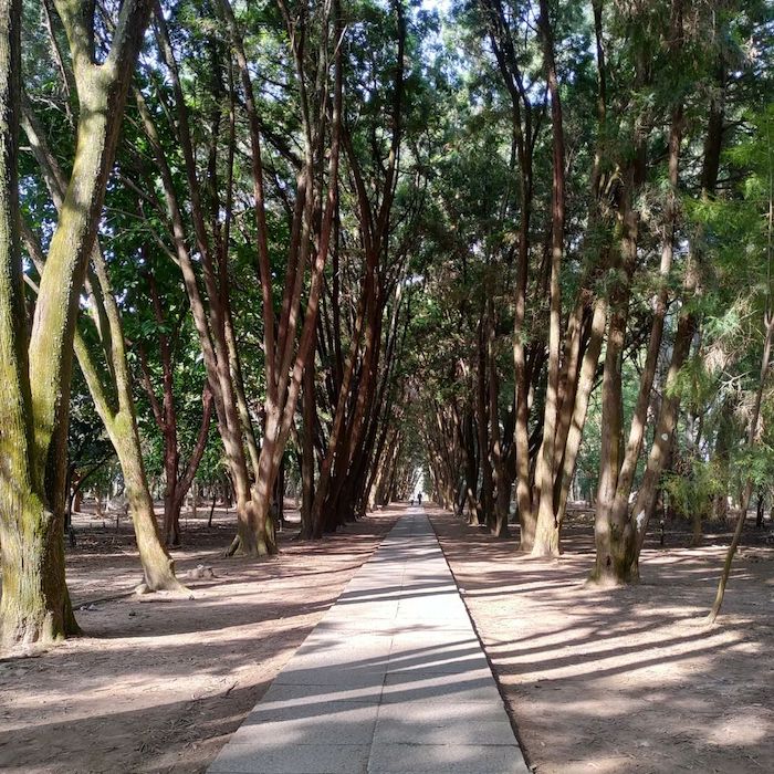 台大實驗林－竹山下坪自然教育園區