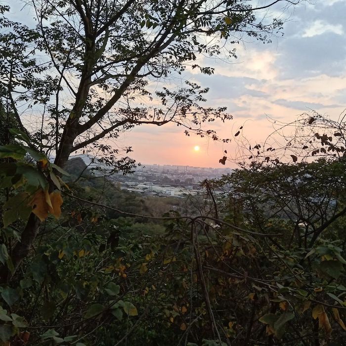 觀音山登山步道